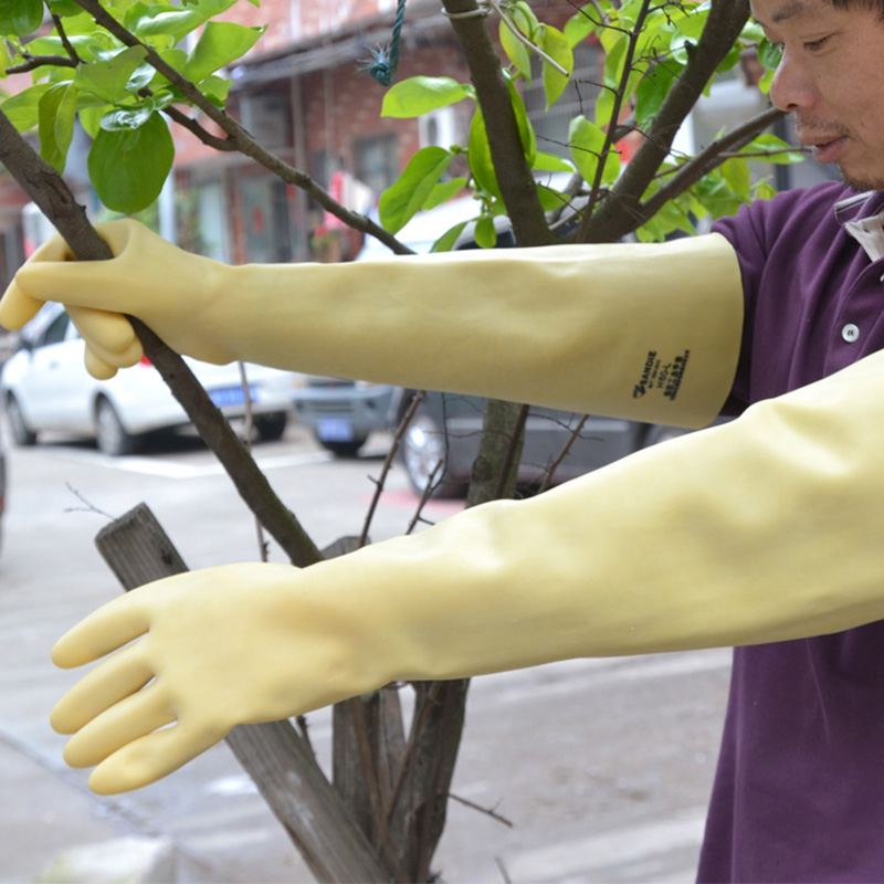 Long Rubber Thick Latex Cleani - Dish Glove Rubber 리뷰 및 가격