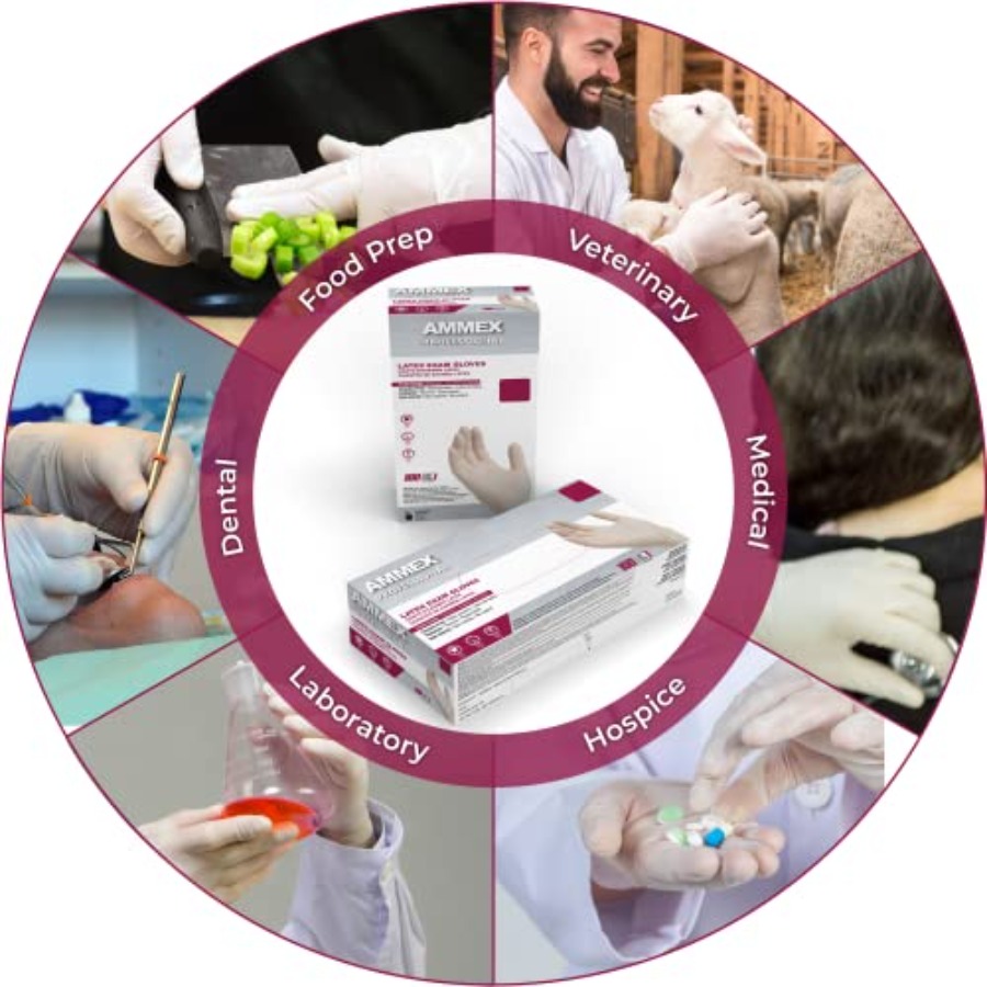 AMMEX White Latex Disposable E - Latex Disposable Glove 리뷰 및 가격