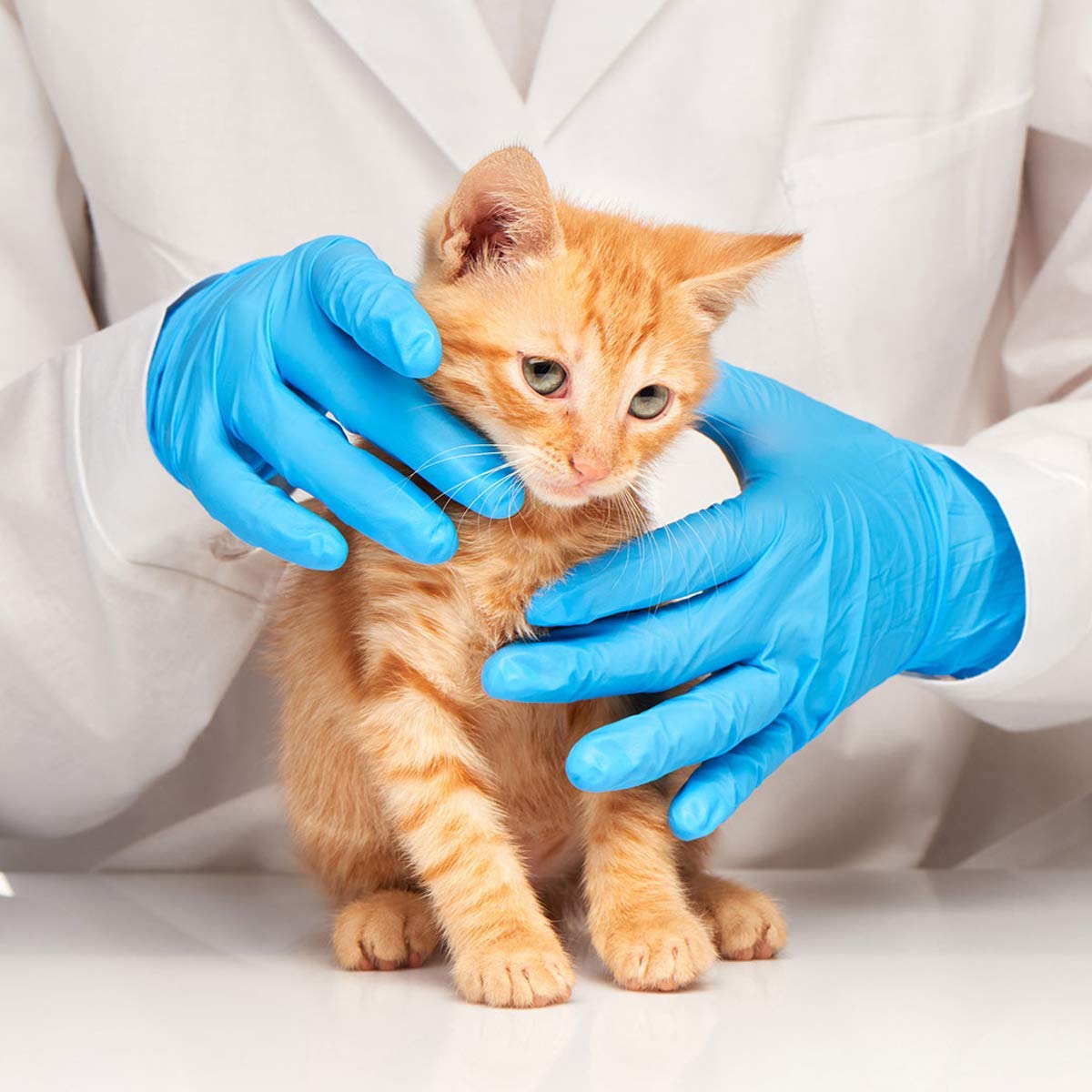 Latex-Free Blue Nitrile Exam G - Exam Glove Nitrile 리뷰 및 가격