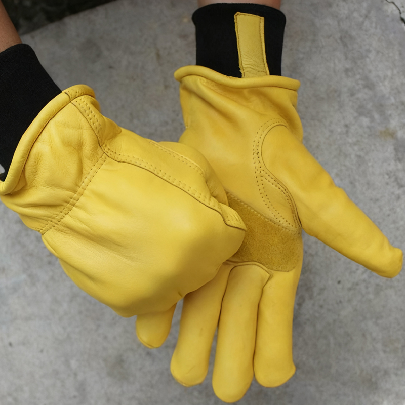 Mens Motorcycle Winter Gloves  - Winter Glove Insulated 리뷰 및 가격